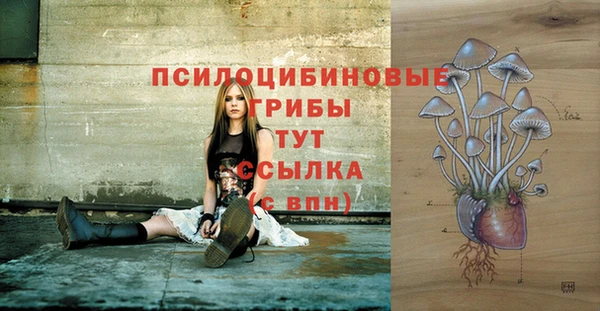 дживик Алзамай
