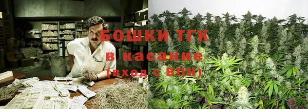ешки Алексин