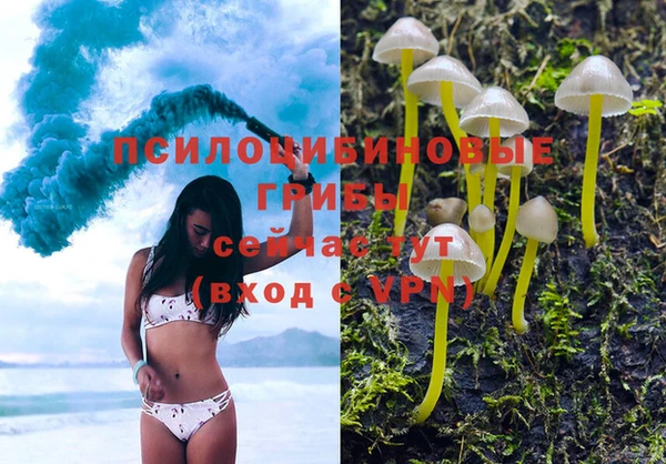 дживик Алзамай
