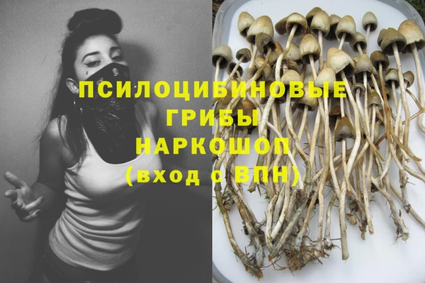 дурь Алексеевка