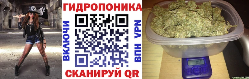 Шишки марихуана семена  Купить закладки  Высоковск 